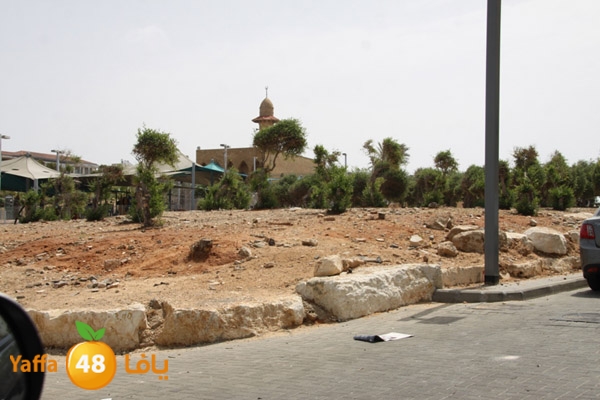 ardjabalyei5258 (1).JPG